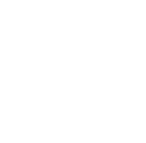 Lion Games